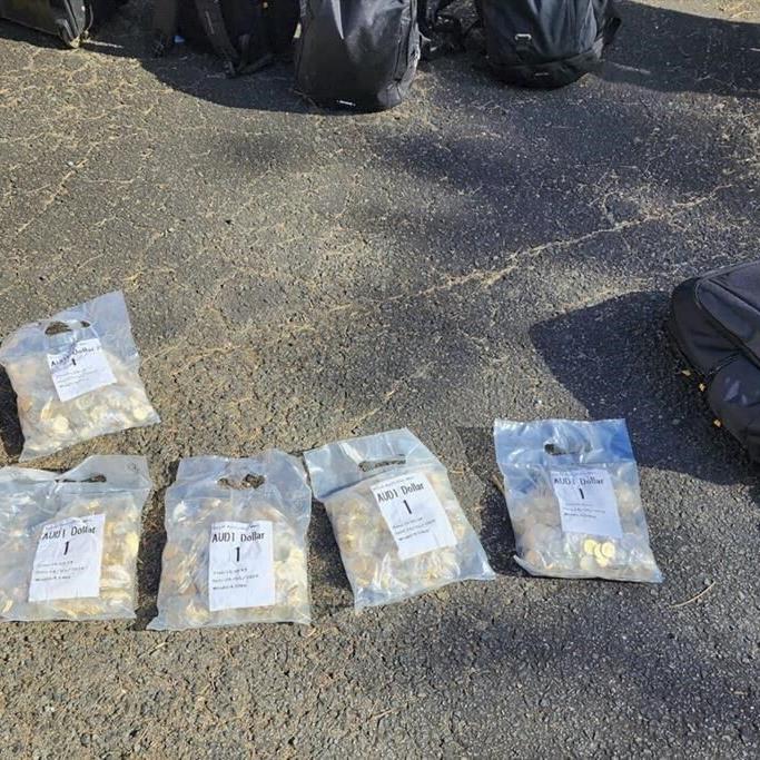 Australian police recover 40,000 stolen coins based on the children's animated series 'Bluey'